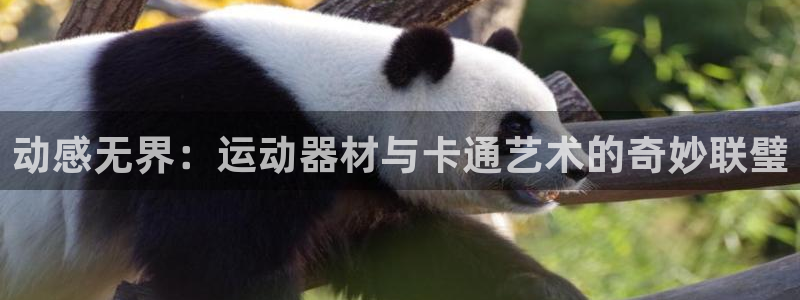 哈哈体育平台：动感无界：运动器材与卡通艺术的奇妙联璧