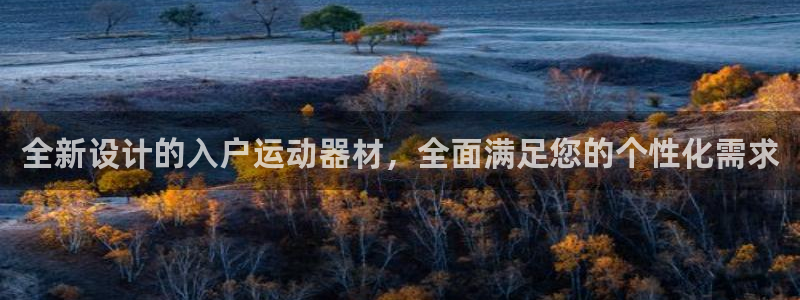 哈哈体育娱乐40996：全新设计的入户运动器材，全面满足您的