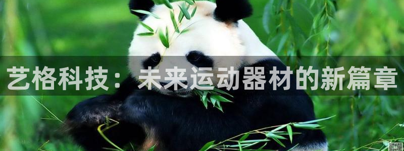 哈哈体育招商：艺格科技：未来运动器材的新篇章