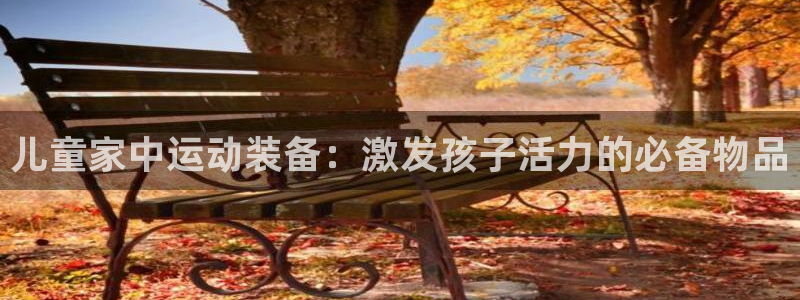 哈哈体育集团：儿童家中运动装备：激发孩子活力的必备物品