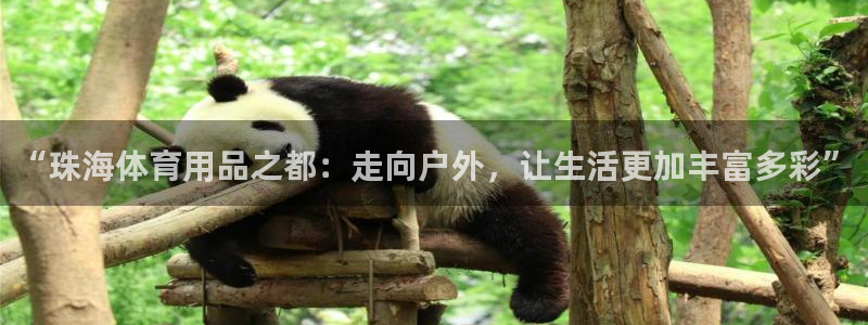 哈哈体育集团官网首页：“珠海体育用品之都：走向户外，